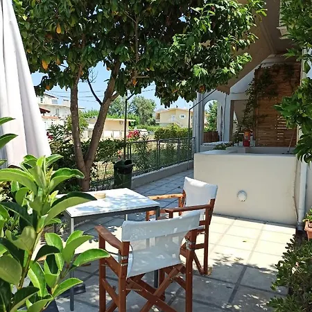 The Garden *