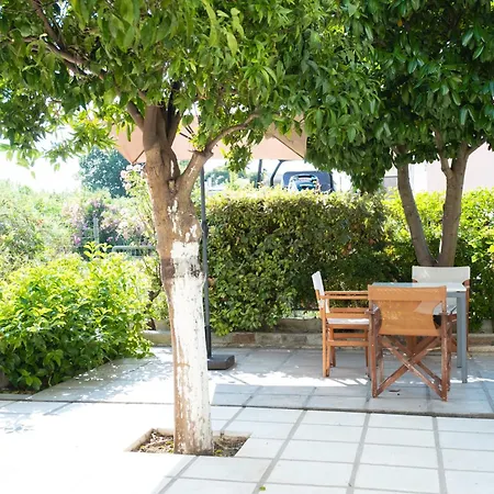 The Garden