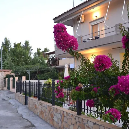 The Garden