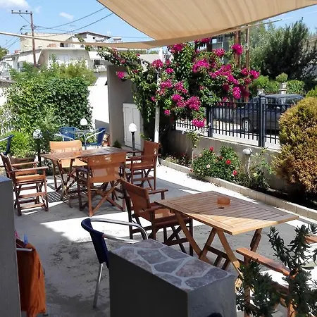 The Garden